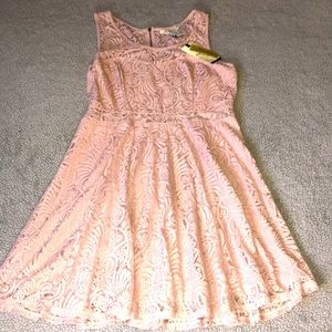 American Rag 💖 Pale Mauve Lace Dress 💖 NWT